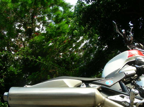 DSCN0736