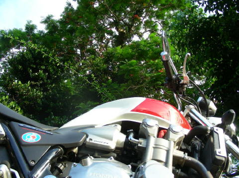 DSCN0738