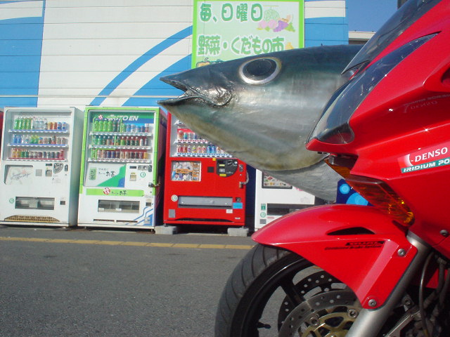 image002