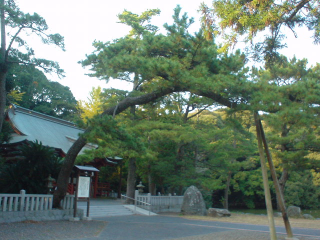 image013