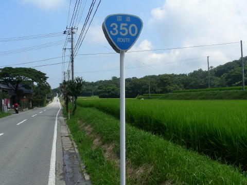 image 199