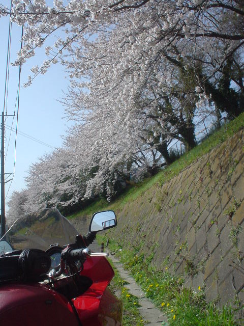 DSC07731