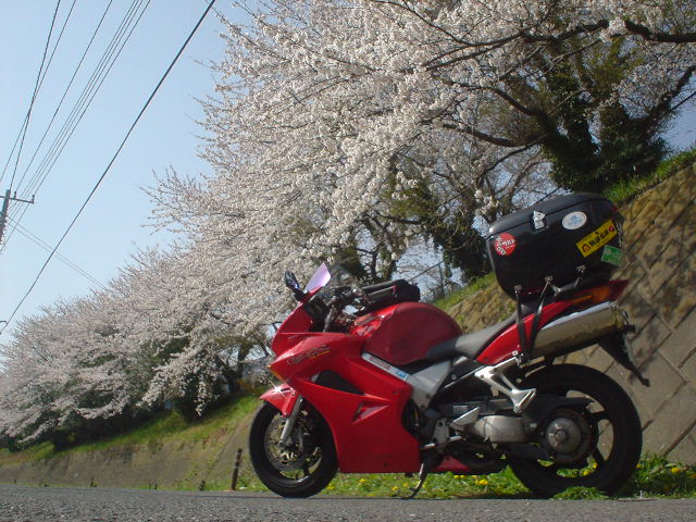 DSC07741