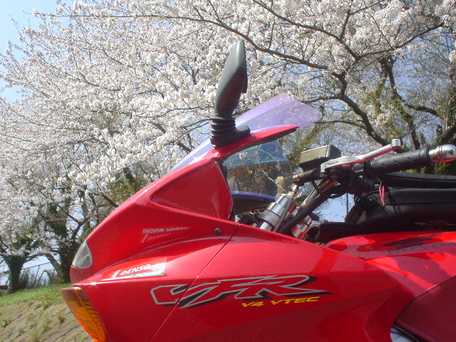 DSC07747