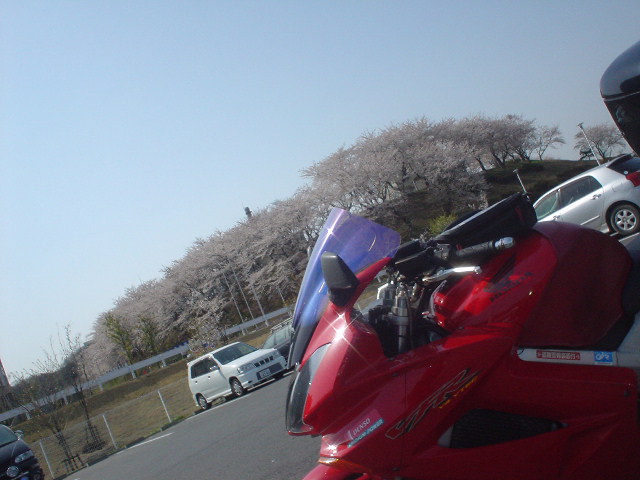 DSC07768