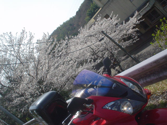 DSC07775