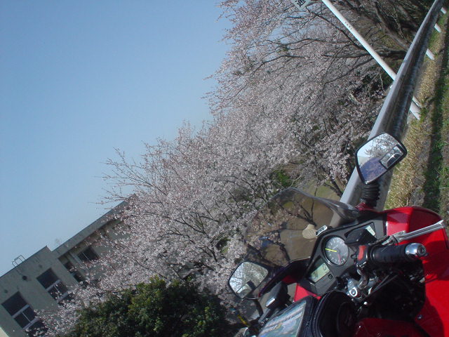 DSC07779