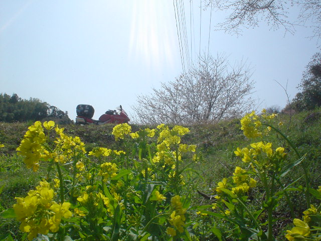ڤβ