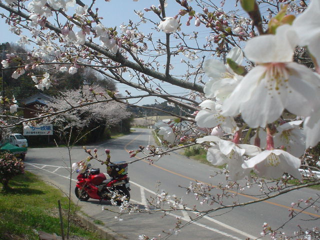 DSC07842