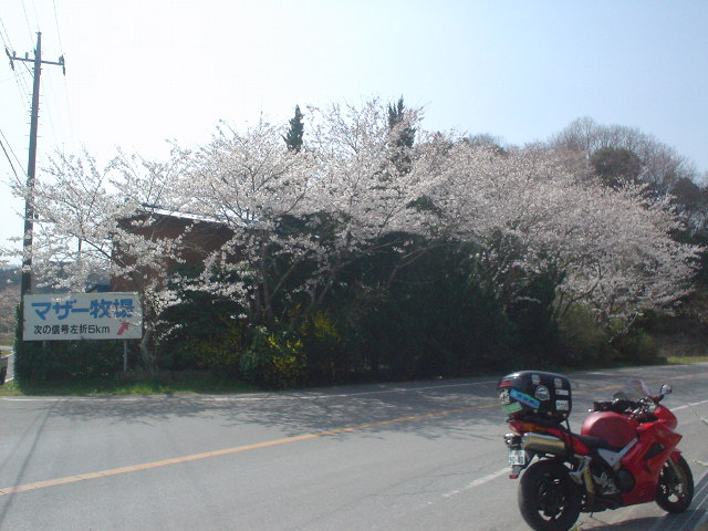 DSC07855