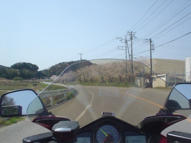 DSC07866