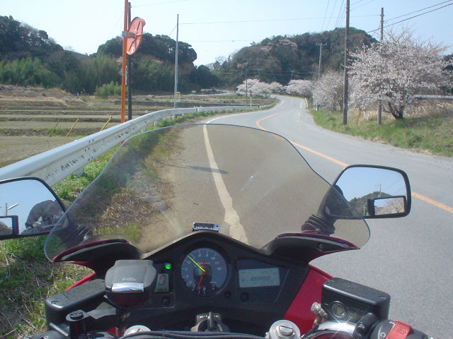 DSC07870