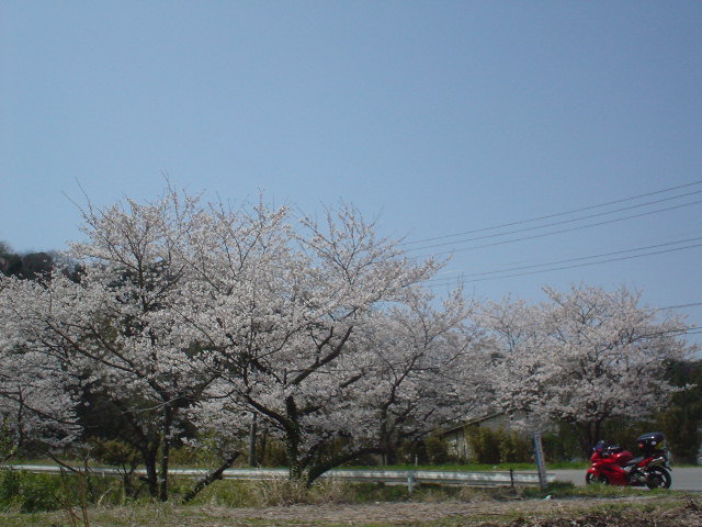 DSC07885