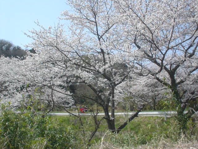 DSC07899