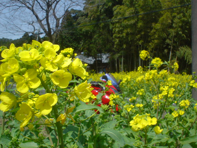 DSC07930