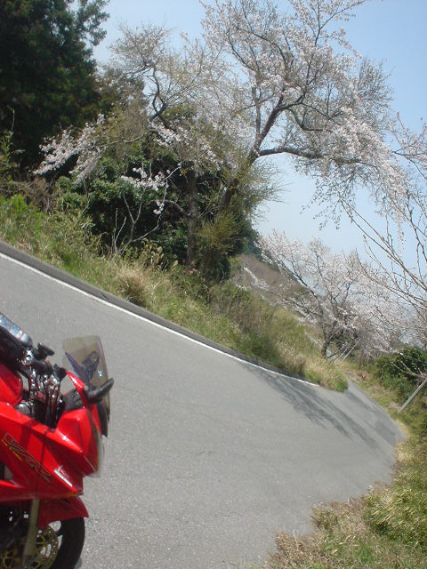 DSC07948