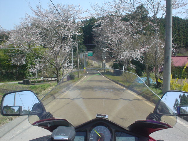 DSC07953