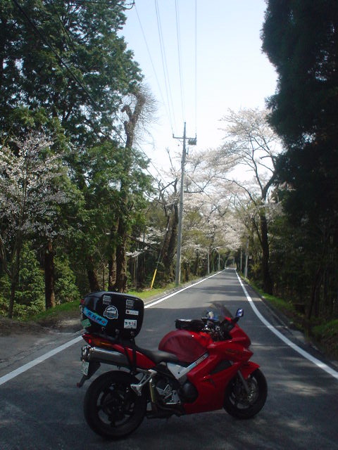 DSC07956