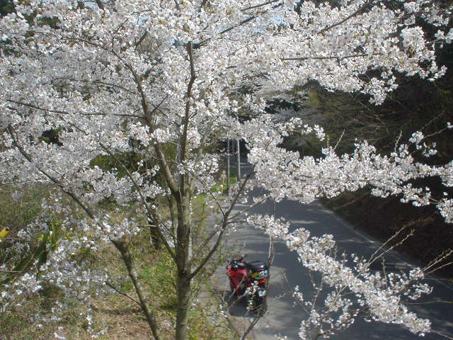 DSC07979