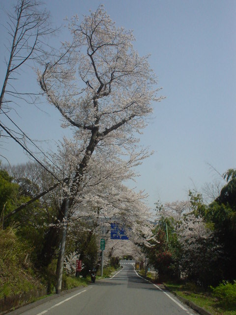 DSC07991
