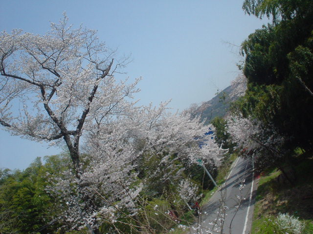 DSC07997