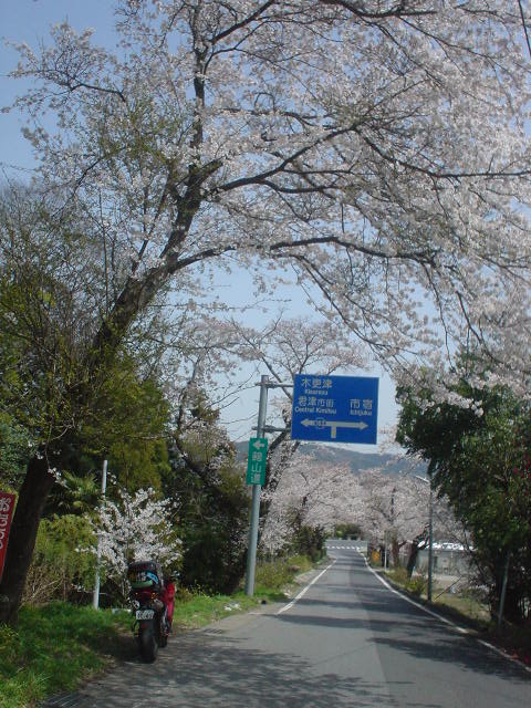 DSC08004