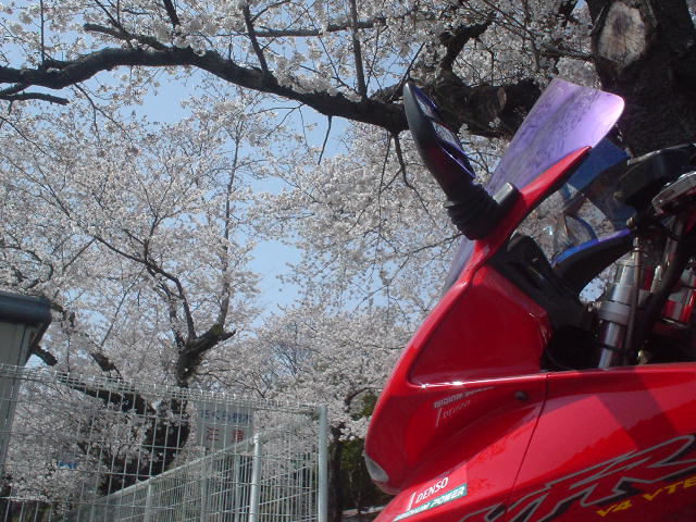 DSC08018