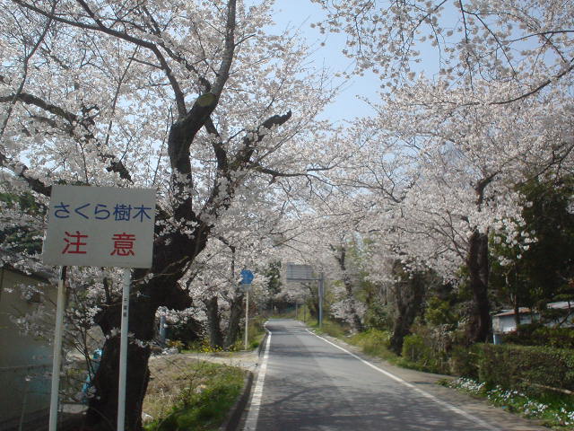DSC08023
