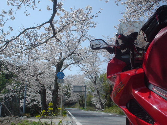 DSC08026
