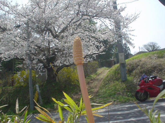 DSC08037
