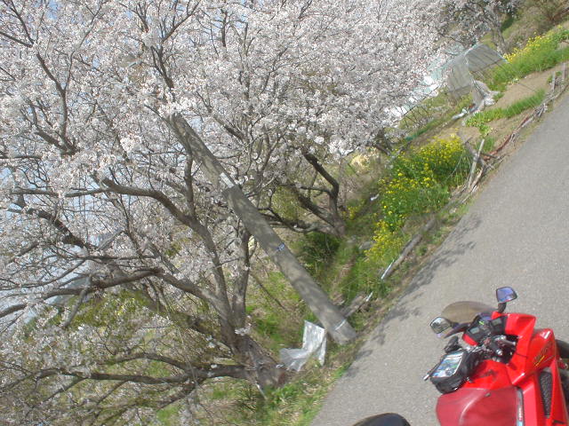 DSC08050