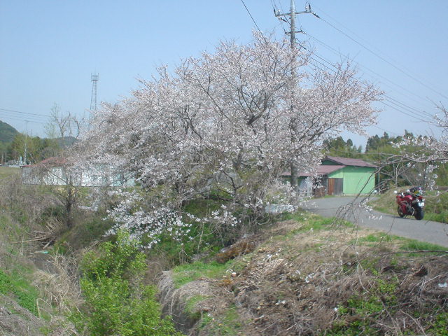 DSC08057