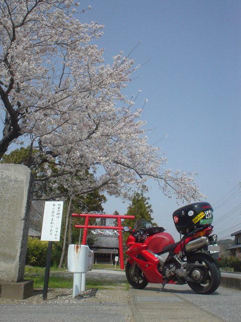 DSC08061