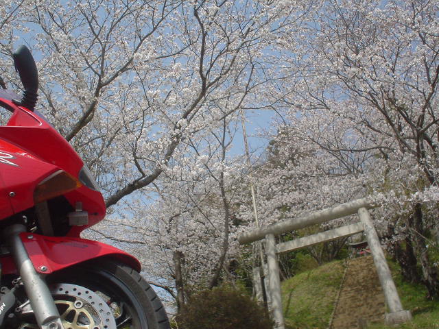 DSC08066