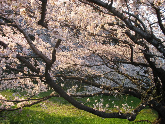 image008