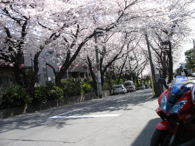 image008