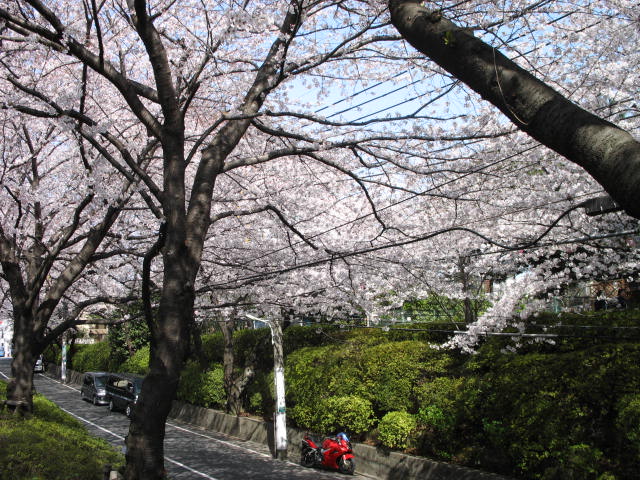 image018