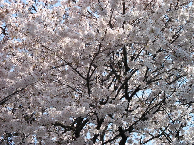 image020
