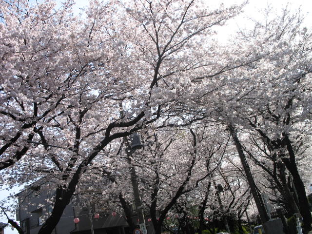 image021