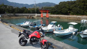 硦ڵ