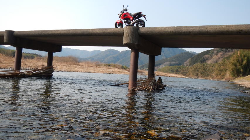HONDA GROM
