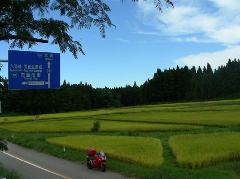 image 382