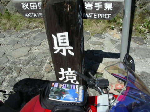 image 922