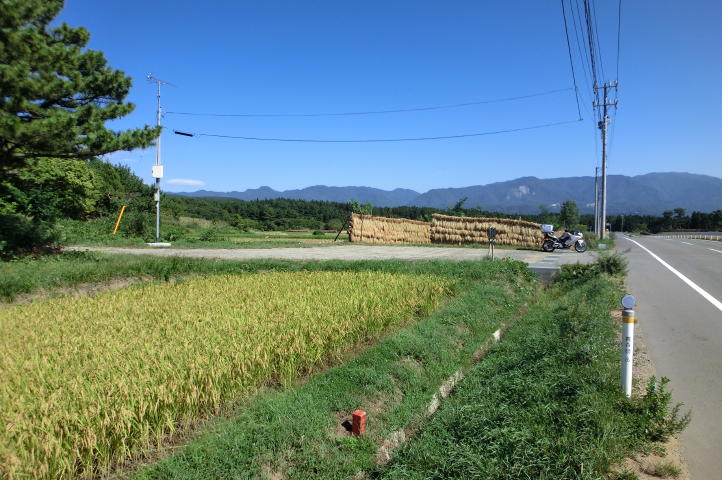 がんばってる東北5DAYS