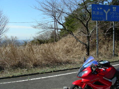 DSCN6247
