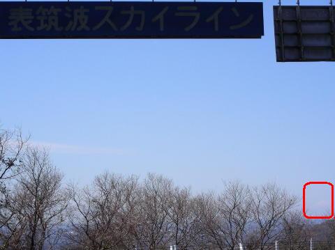 DSCN6262