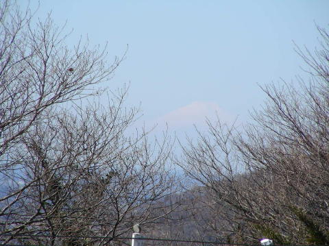 DSCN6259