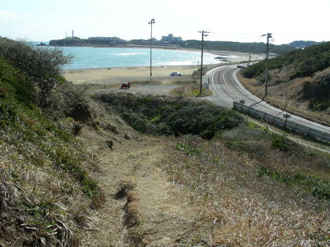 DSCN6290