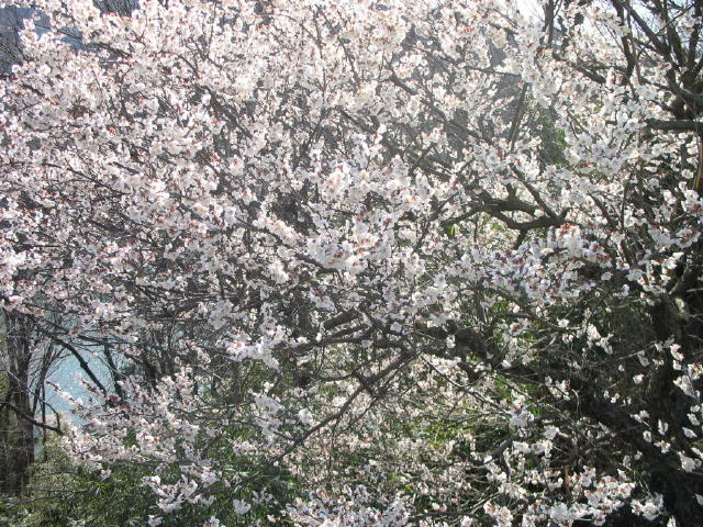 image048