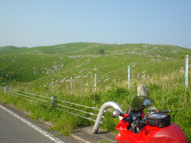 DSC01323